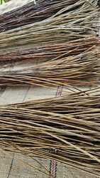 1.jpeg