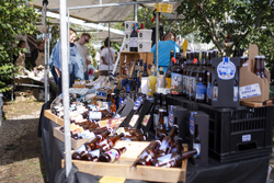 2026-08-22 Streekmarkt Breecamp Bruist-119.jpg