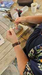 Afbeelding van WhatsApp op 2024-07-01 om 22.01.02_cccae3f1.jpg